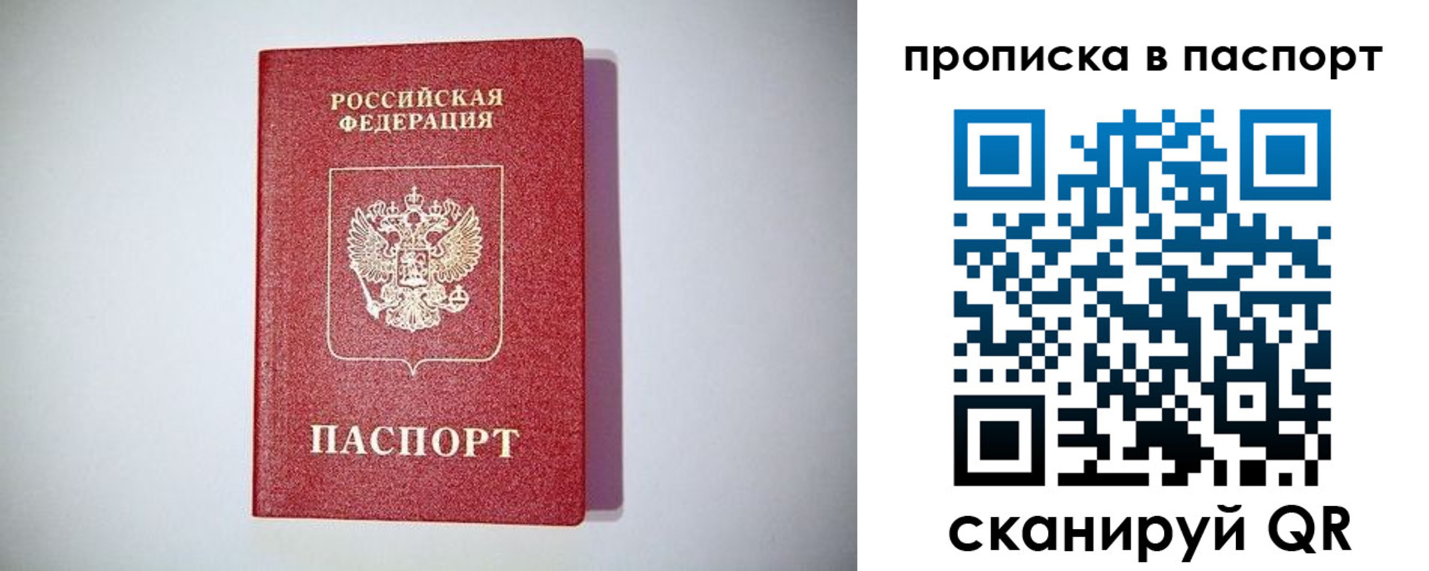 прописка в квартире в Владимире